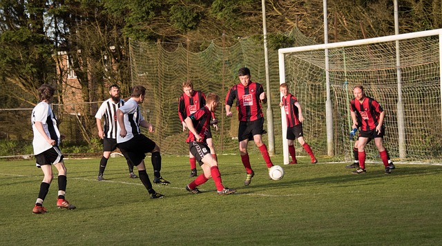 意甲裁判指派员罗基：取消弗拉霍维奇点球的决定是正确的